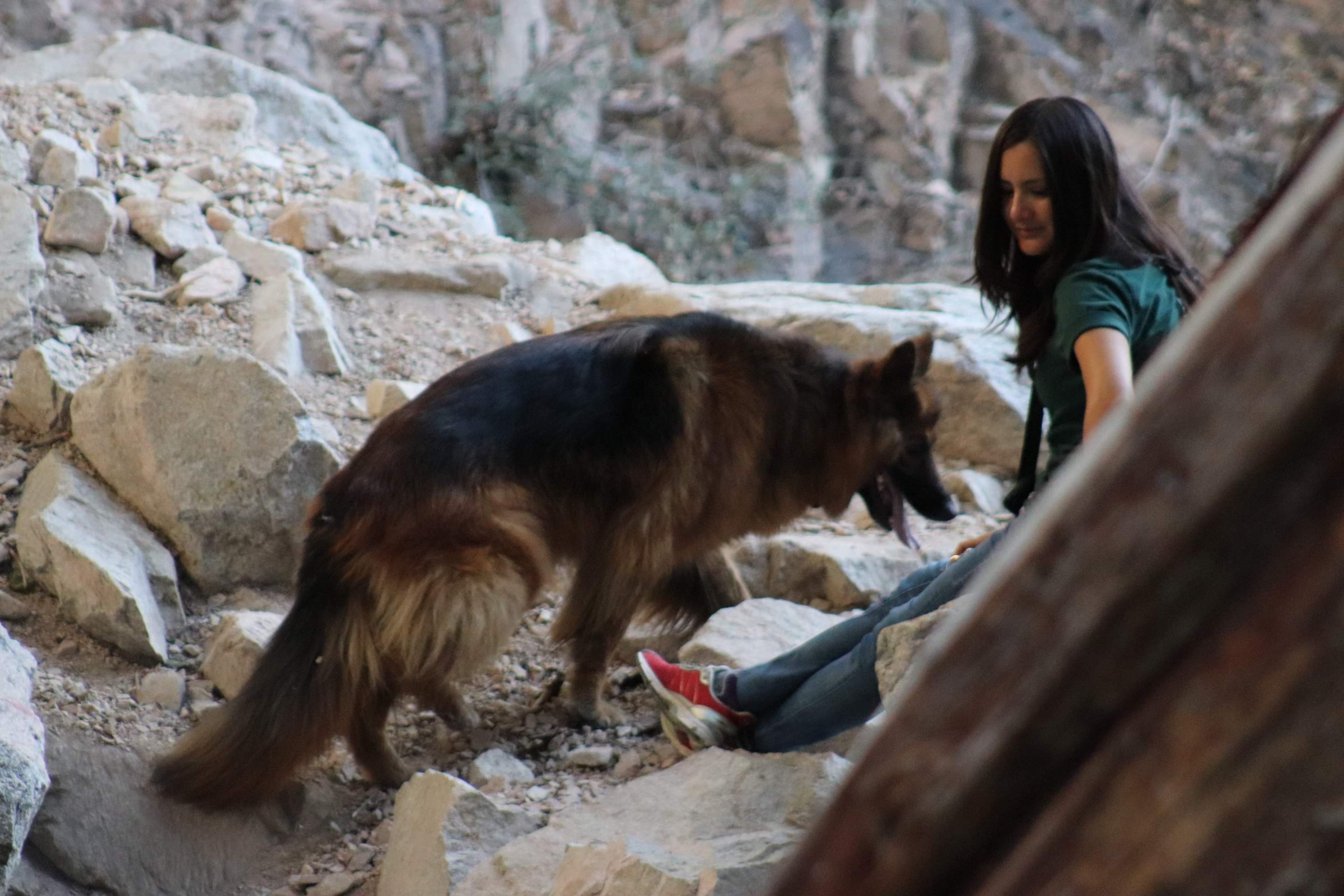 CE4604B6-D5A3-411B-9630-3ACCD2C0F718